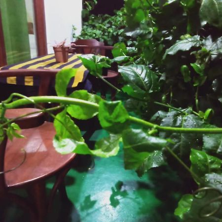 Elegant Home Stay Ела Екстериор снимка