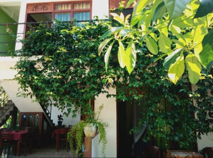 Elegant Home Stay Ела Екстериор снимка
