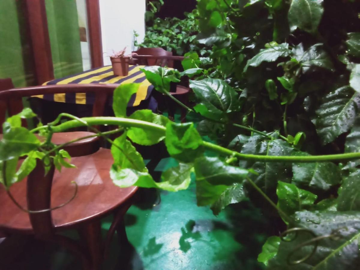Elegant Home Stay Ела Екстериор снимка